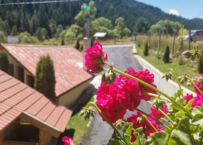 дяволска пътека * Borino